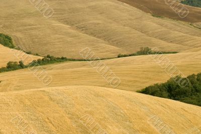 Crete senesi, characteristic landscape in Val d`Orcia