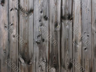 Wooden fence texture after rain