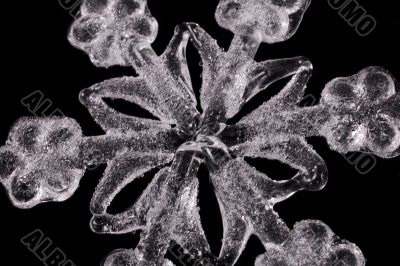 WHITE SNOWFLAKE CLOSE UP
