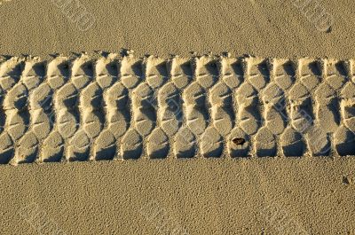 Tire track in sand