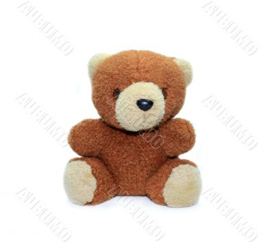 Small teddy bear
