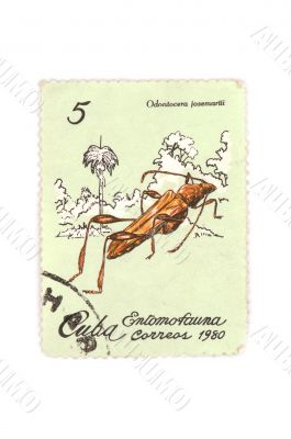 color postage stamp macro