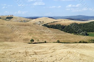 Crete senesi, characteristic landscape in Val d`Orcia