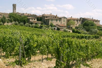 Villa a Sesta (Chianti) - The village and the vineyards