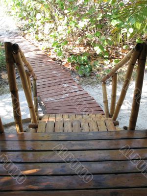 wooden steps to a path