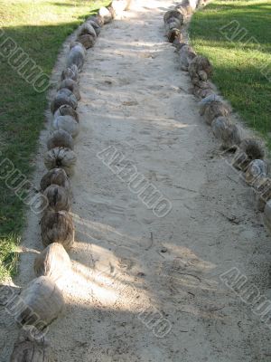 dirt path