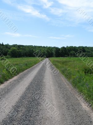 dirt road through a field
