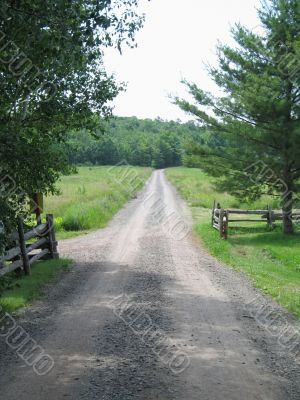 dirt road through a field