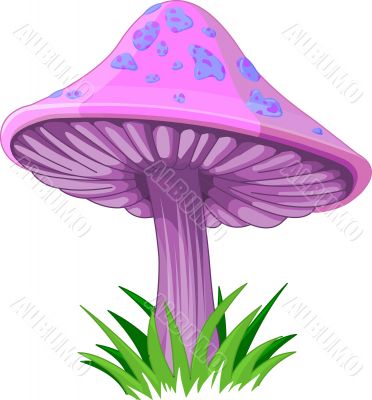 mushroom