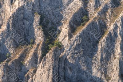 Cliff texture