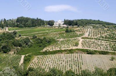 Radda in Chianti - Ancient palace and vineyards