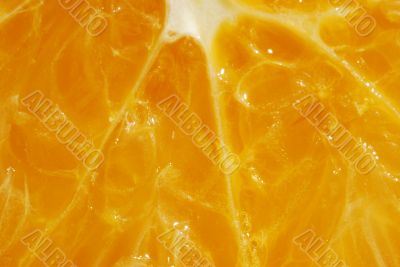 Close up surface of peace of orange fruit