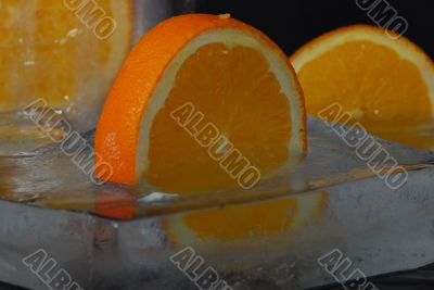  composition of frozen oranges in block of ice