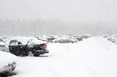 Winter cars