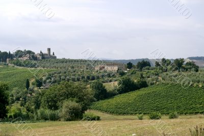 Landscape near San Gimignano (Tuscany)