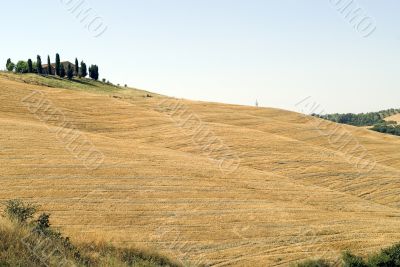Crete senesi, characteristic landscape in Val d`Orcia