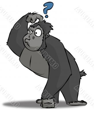 Confused Gorilla