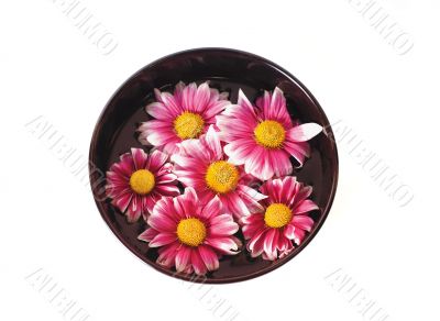 bowl of water with flowers