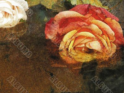 Art. Roses in water.