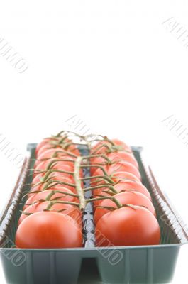 tomato in box closeup