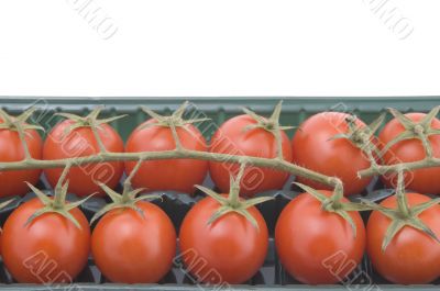 tomato in box macro