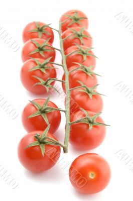 tomato on white close up