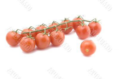 tomato on white macro