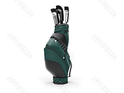 Golf bag