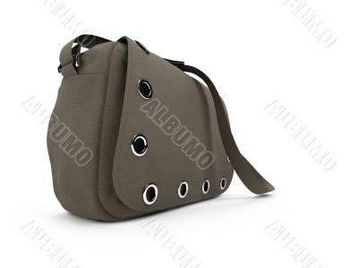 Satchel