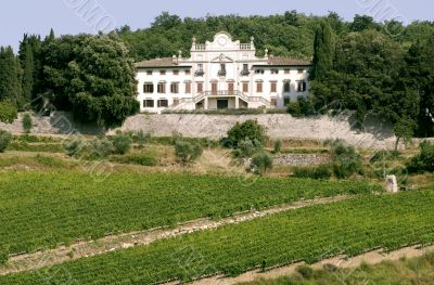 Radda in Chianti - Ancient palace and vineyards