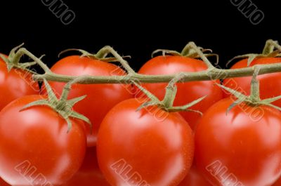 Red tomato close up