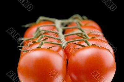 Red tomato closeup