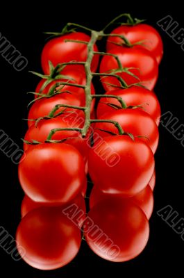 Red tomato macro