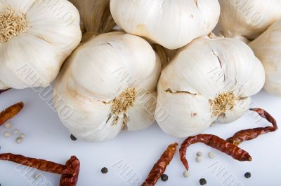Garlic