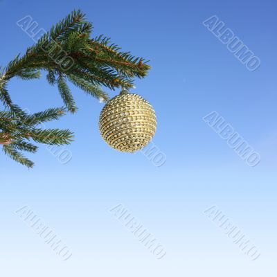 golden bauble on green tree