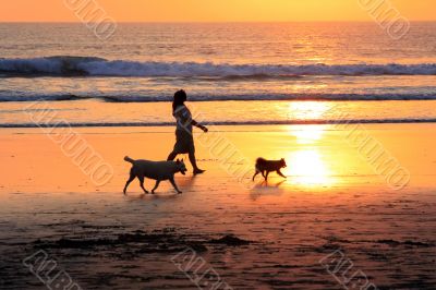 walk on sunset