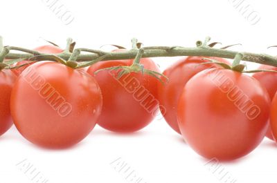 Raw tomato closeup