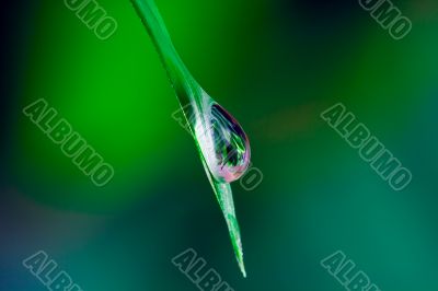 Waterdrop on grass