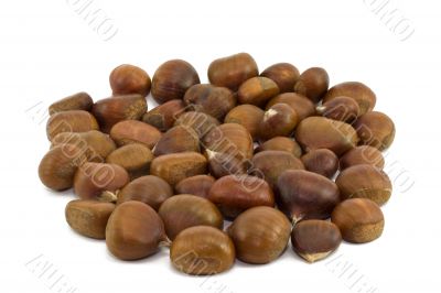 Chestnuts isolated on white background