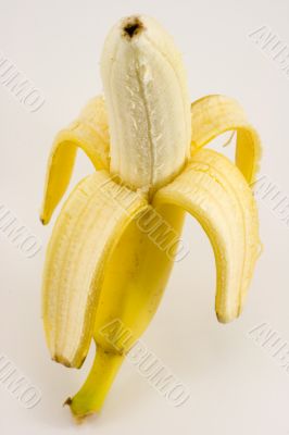 One banana on light background