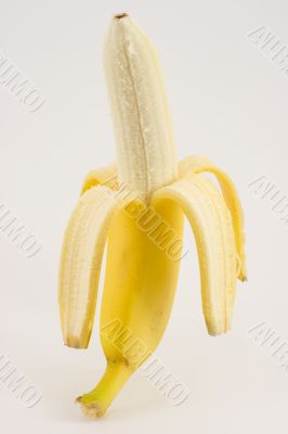 One banana on light background