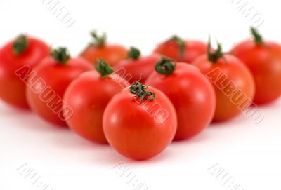 Tomato group