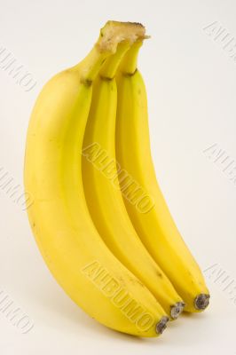 Bunch of bananas on light background