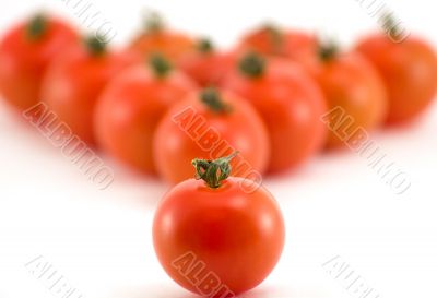 Tomato group