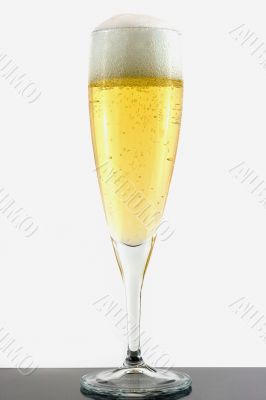 Champagne in glass on gray surface