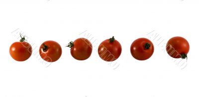 Tomatos group