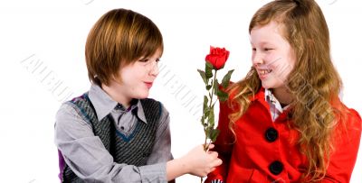 Give her the rose