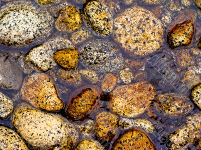 Stones in a River