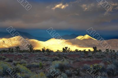 Desert Scene in Fall