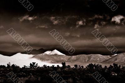 Desert Scene in Fall